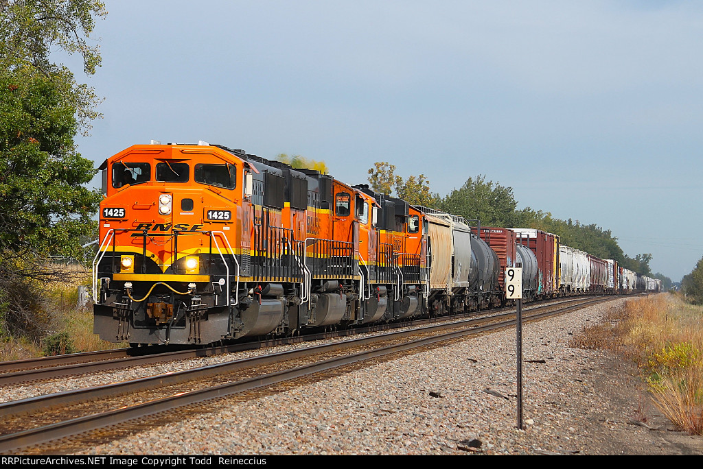 BNSF 1425